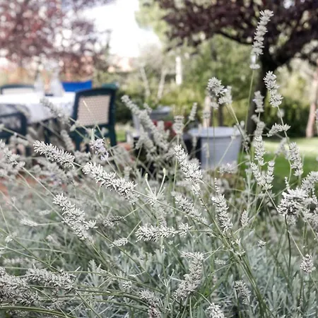 Della Lavanda 3* San Clemente (Rimini)