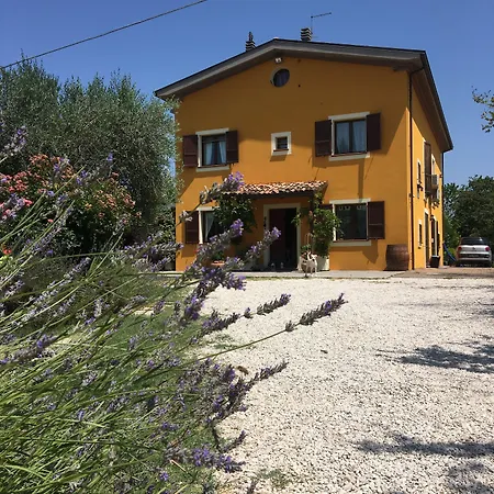 Della Lavanda 3* San Clemente (Rimini)