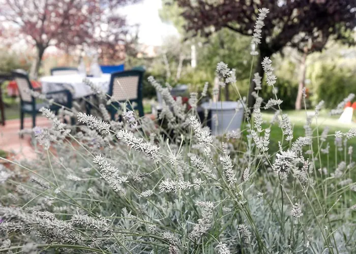 Della Lavanda 3* سان كليمنتي