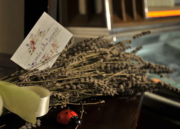 宾馆 Della Lavanda 3*