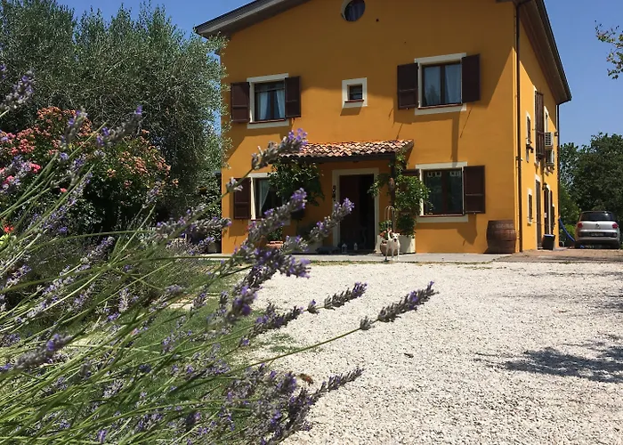 Della Lavanda 3* سان كليمنتي